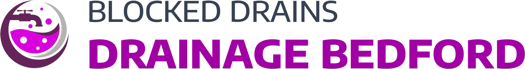 website logo